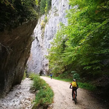Frühstückspension Placa Bell-lloc
