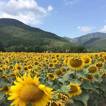 Frühstückspension Placa Bell-lloc Gerona