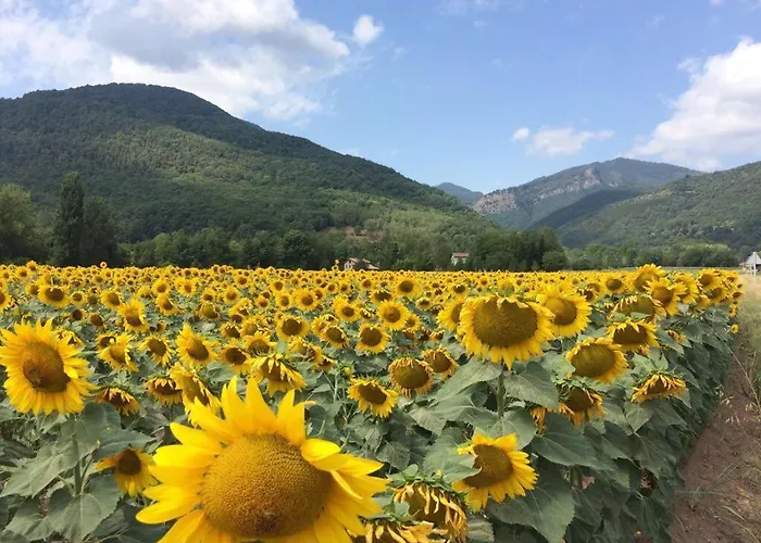 לינה וארוחת בוקר Placa Bell-lloc ז'ירונה